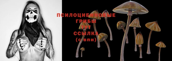 MESCALINE Медвежьегорск