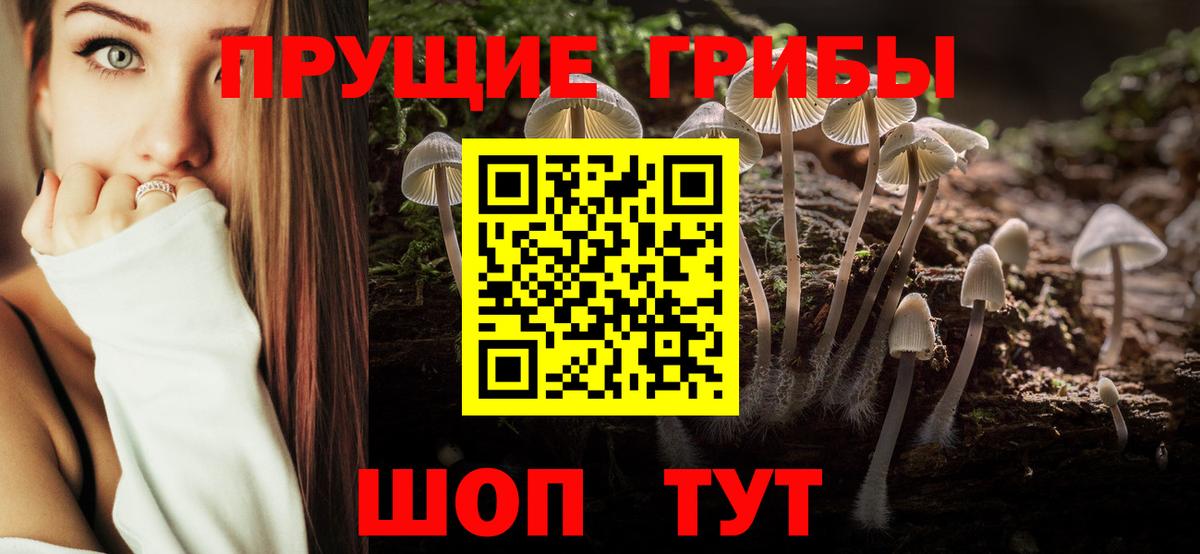наркотики  Вход с VPN  Белая Калитва  Галлюциногенные грибы MAGIC MUSHROOMS 