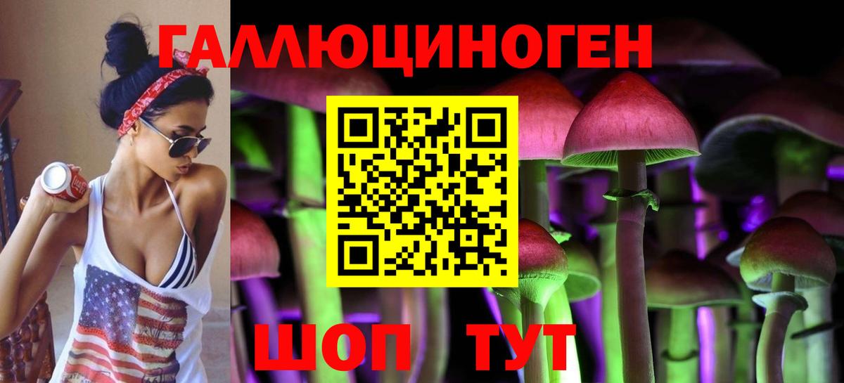 Псилоцибиновые грибы Cubensis Белая Калитва